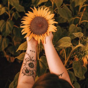 A faded image of a large sunflower being held by two hands and arms, one arm has sunflower tattoos on it.