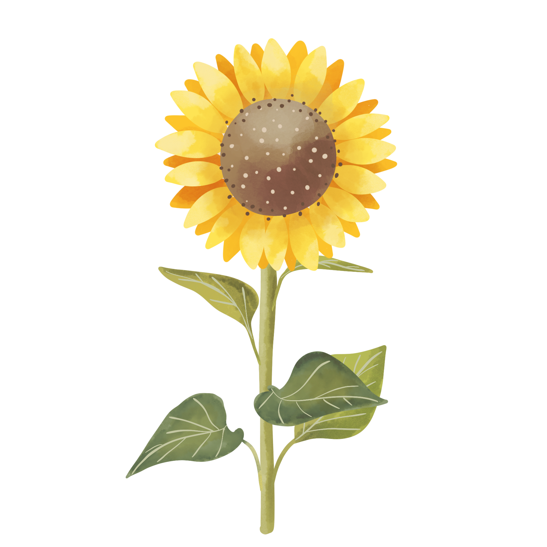 adhd-burnout-what-is-it-what-are-the-symptoms-and-more