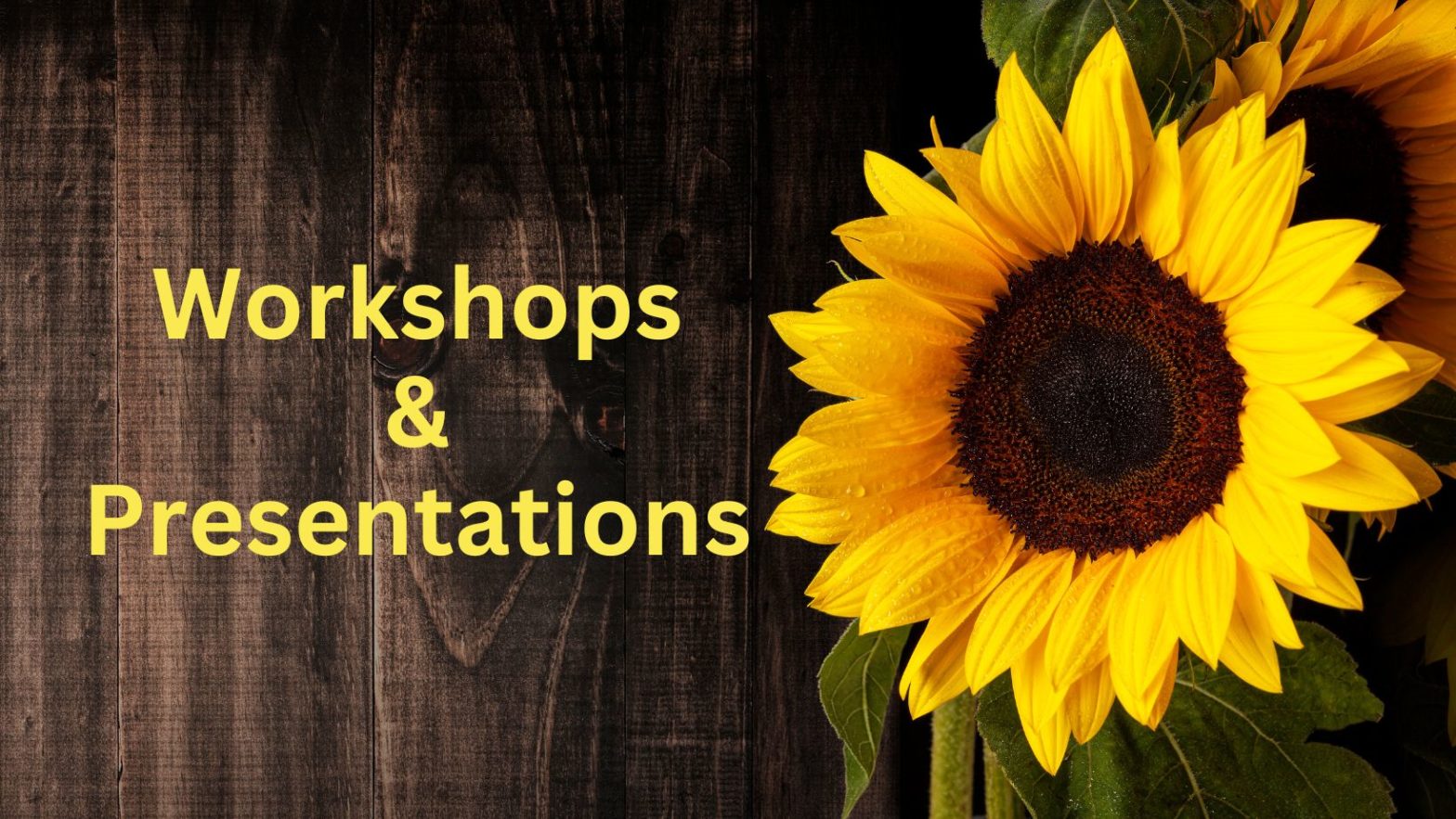 Workshops and Presentations